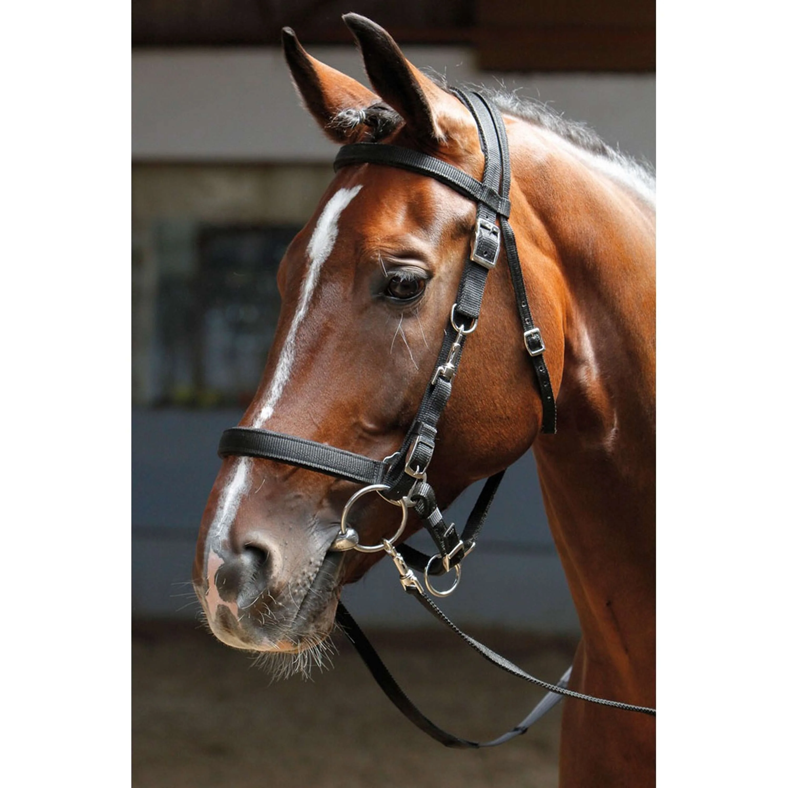 Immagine prodotto 3