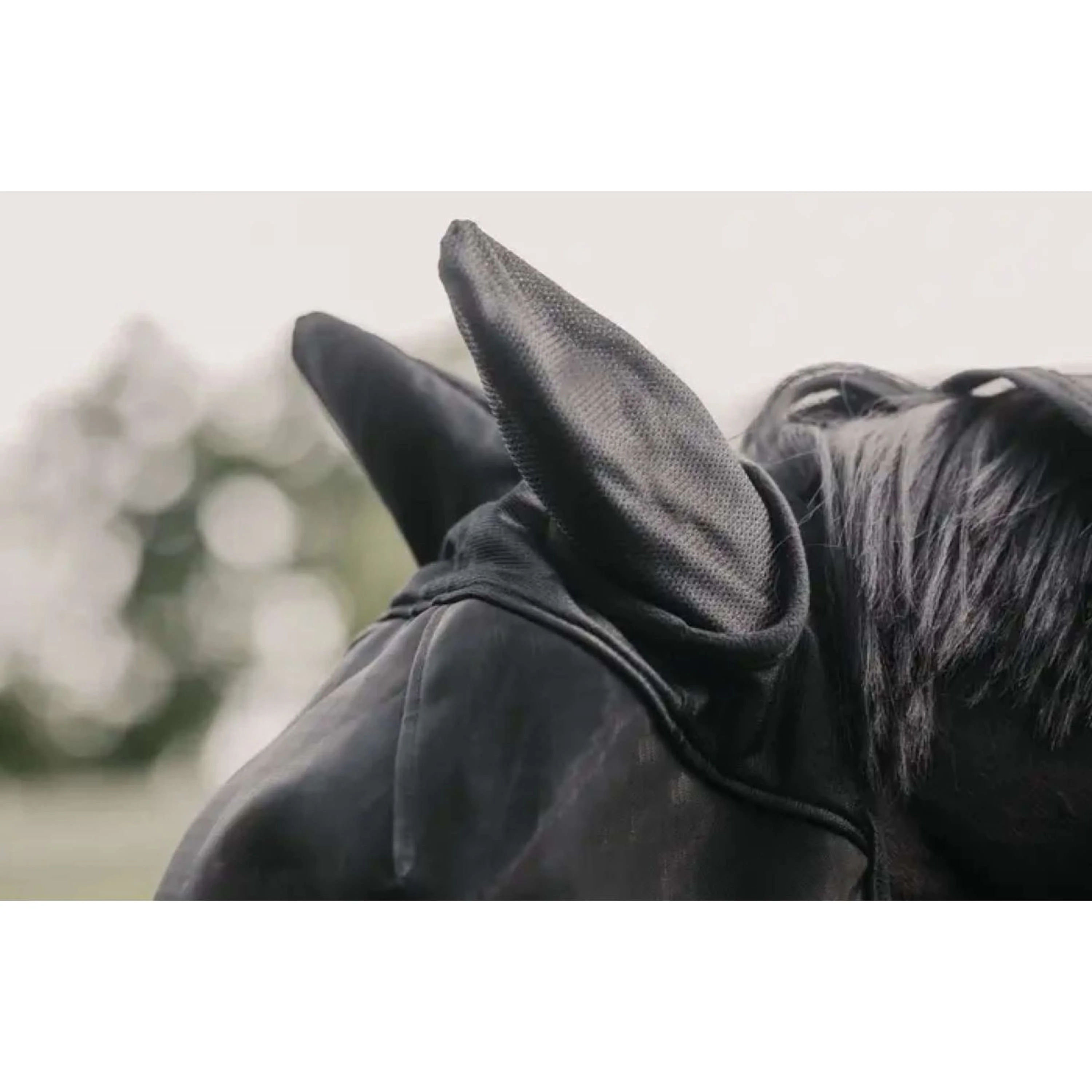 Immagine prodotto 5