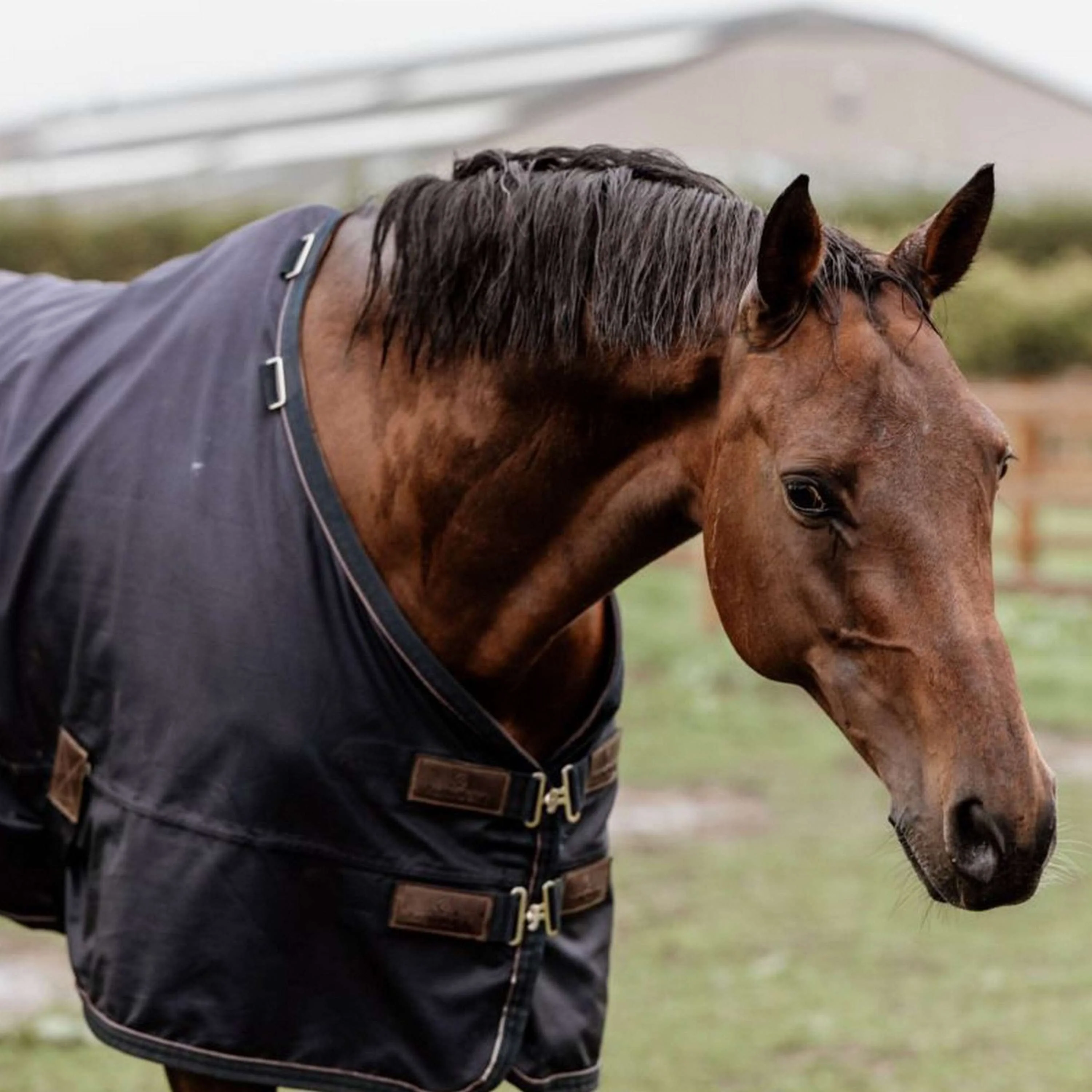 Immagine prodotto 5