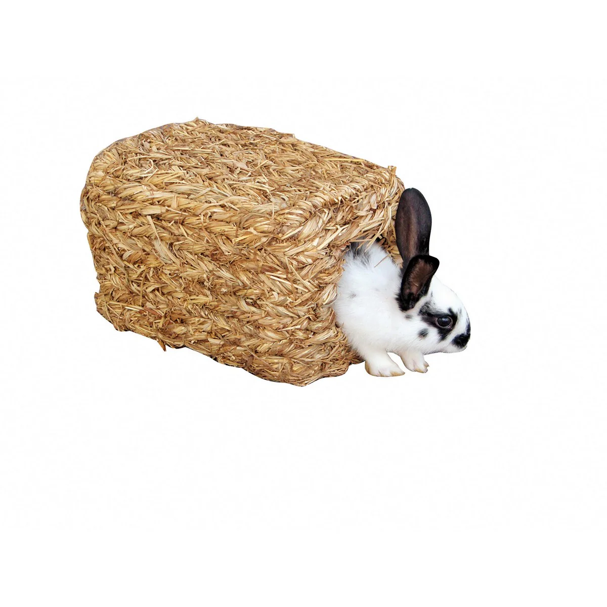 Miniatura 1