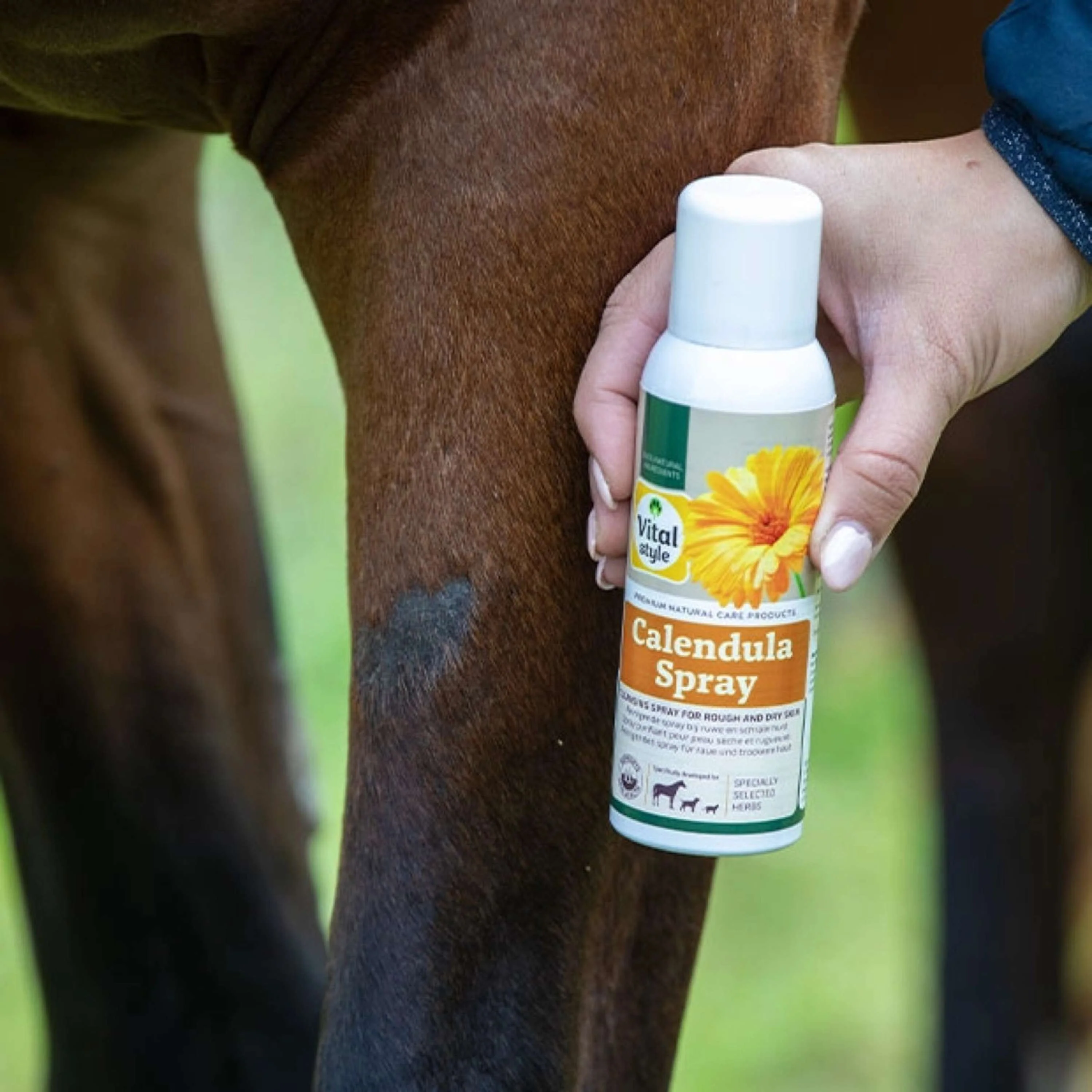Immagine prodotto 4